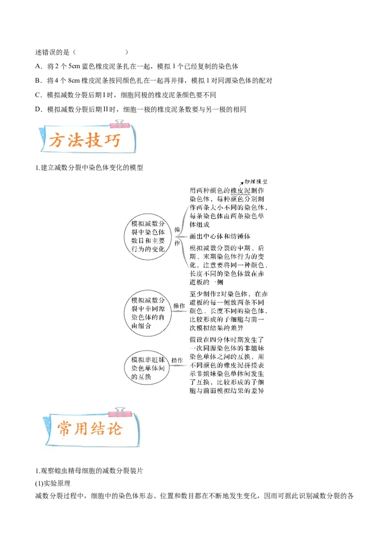 考向08减数分裂和受精作用-备战2023年高考生物一轮复习考点微专题（全国通用）（原卷版）(1)_通用版（老高考）复习资料_2023年复习资料_一轮复习