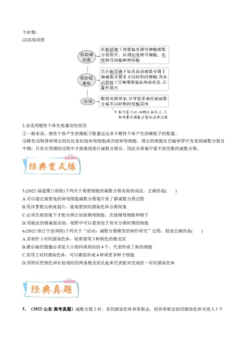 考向08减数分裂和受精作用-备战2023年高考生物一轮复习考点微专题（全国通用）（原卷版）(1)_通用版（老高考）复习资料_2023年复习资料_一轮复习