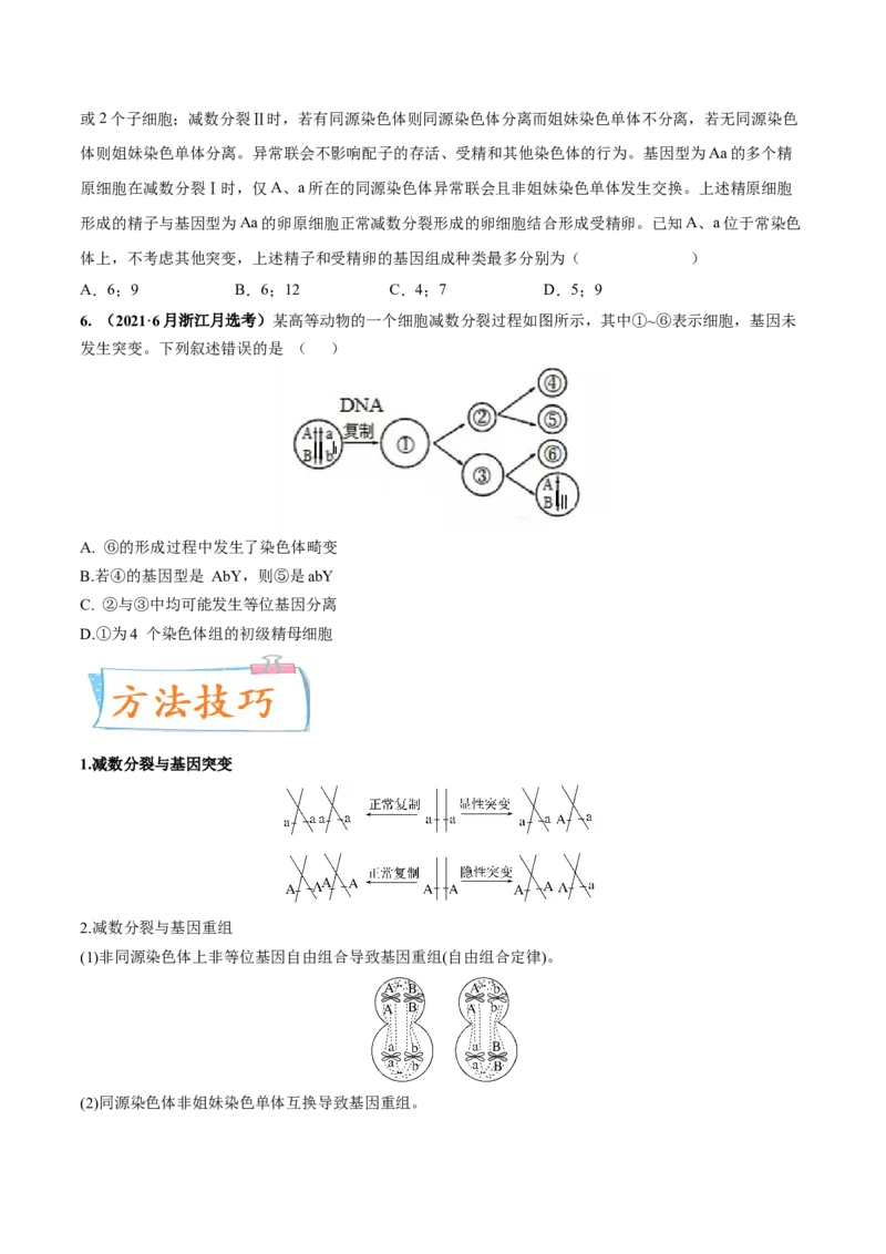 考向08减数分裂和受精作用-备战2023年高考生物一轮复习考点微专题（全国通用）（原卷版）(1)_通用版（老高考）复习资料_2023年复习资料_一轮复习