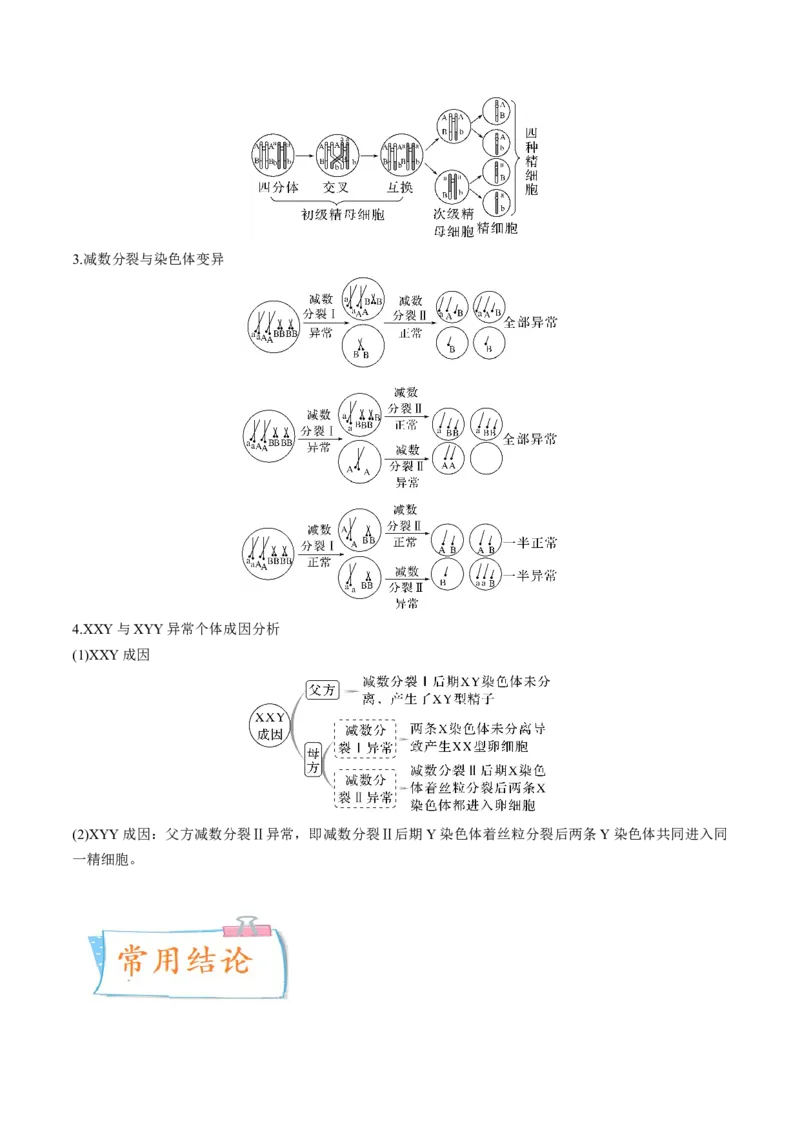 考向08减数分裂和受精作用-备战2023年高考生物一轮复习考点微专题（全国通用）（原卷版）(1)_通用版（老高考）复习资料_2023年复习资料_一轮复习