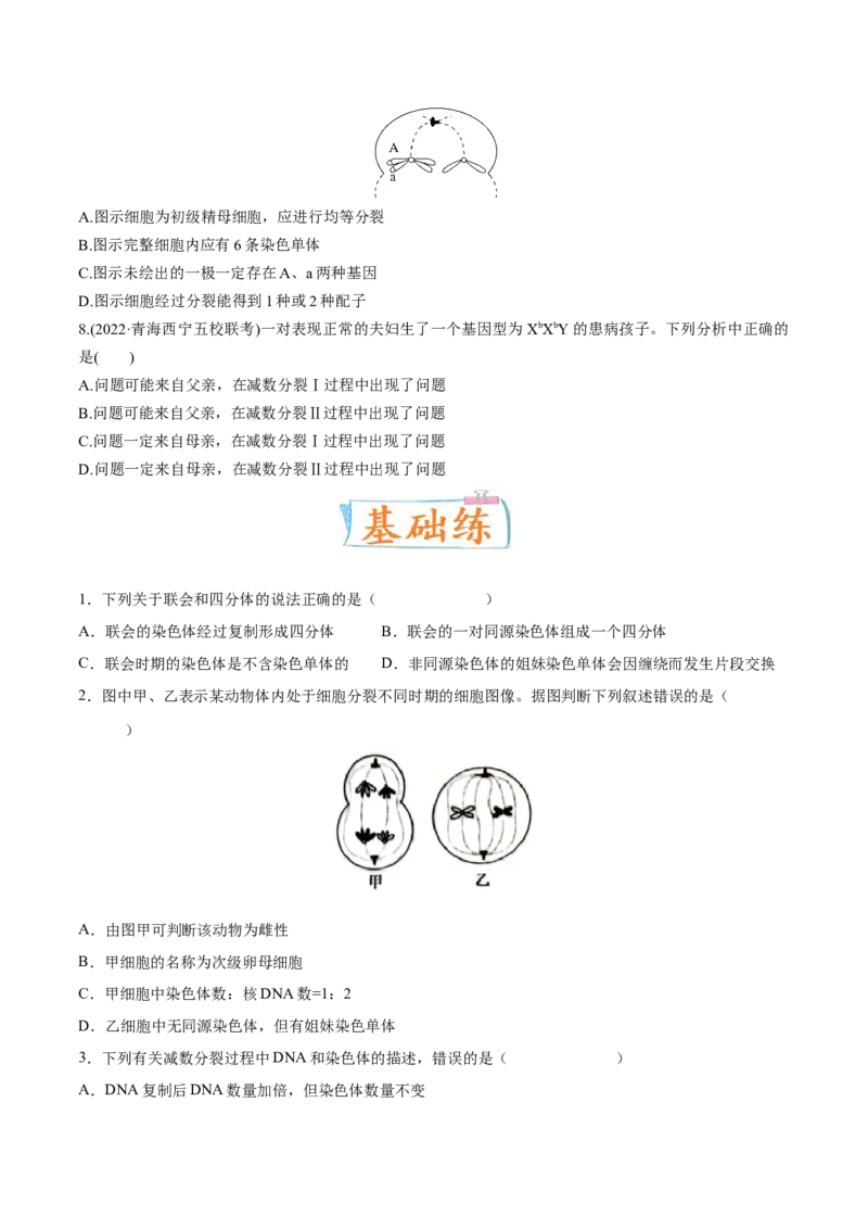 考向08减数分裂和受精作用-备战2023年高考生物一轮复习考点微专题（全国通用）（原卷版）(1)_通用版（老高考）复习资料_2023年复习资料_一轮复习