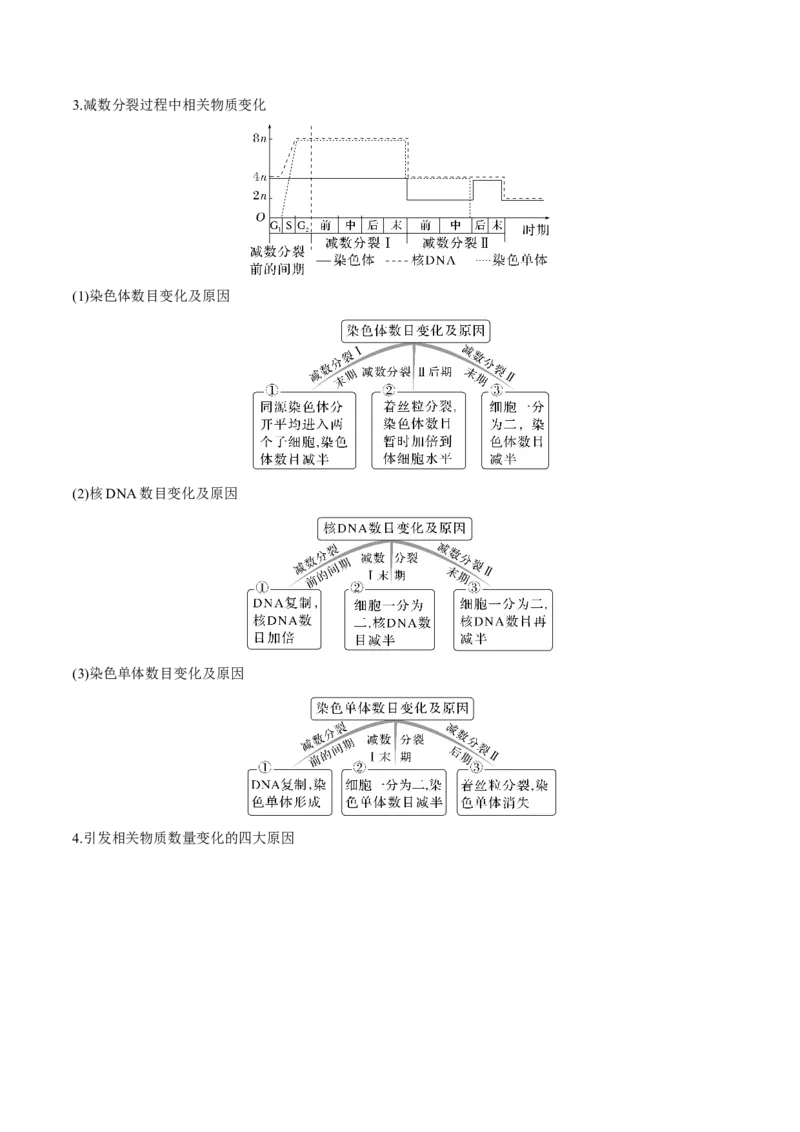 考向08减数分裂和受精作用-备战2023年高考生物一轮复习考点微专题（全国通用）（原卷版）(1)_通用版（老高考）复习资料_2023年复习资料_一轮复习