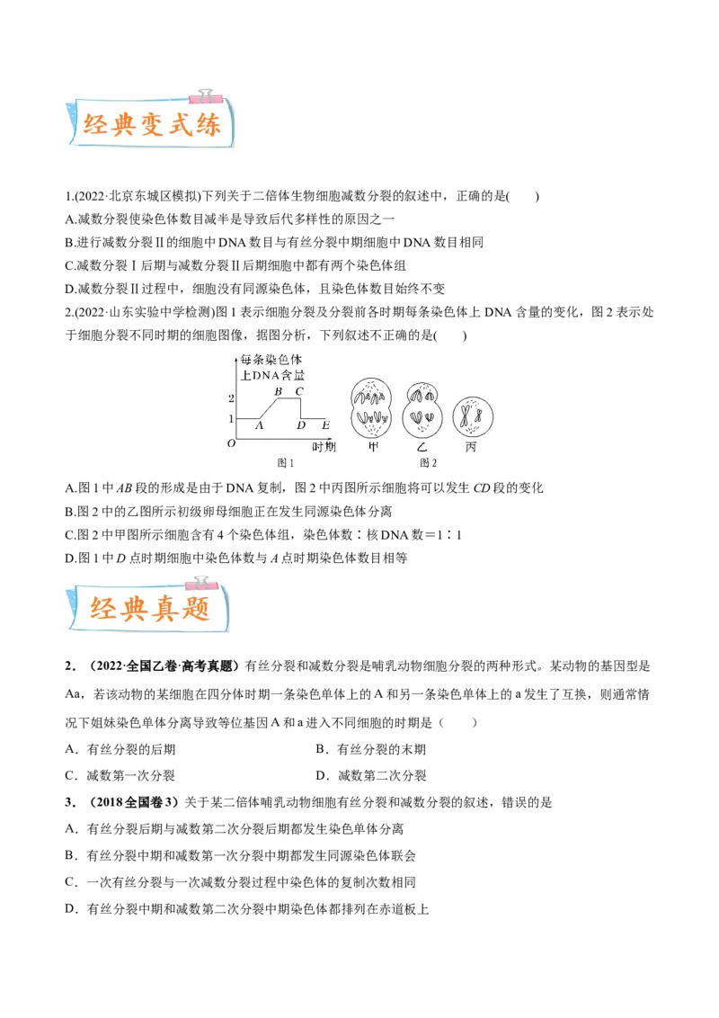 考向08减数分裂和受精作用-备战2023年高考生物一轮复习考点微专题（全国通用）（原卷版）(1)_通用版（老高考）复习资料_2023年复习资料_一轮复习