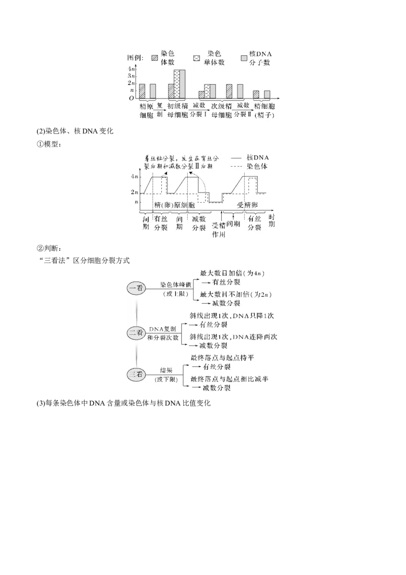 考向08减数分裂和受精作用-备战2023年高考生物一轮复习考点微专题（全国通用）（原卷版）(1)_通用版（老高考）复习资料_2023年复习资料_一轮复习