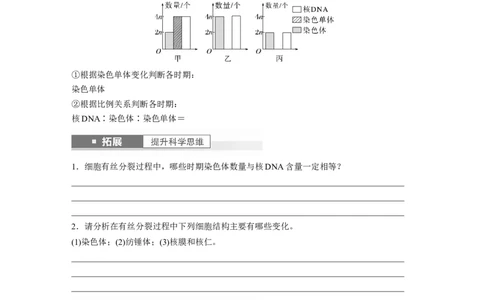 第4单元　第2课时　有丝分裂过程中相关变化及观察实验_新高考复习资料_2024年新高考复习资料_一轮复习资料_完2024生物步步高大一轮复习（课件+讲义）_学生版在此文件夹