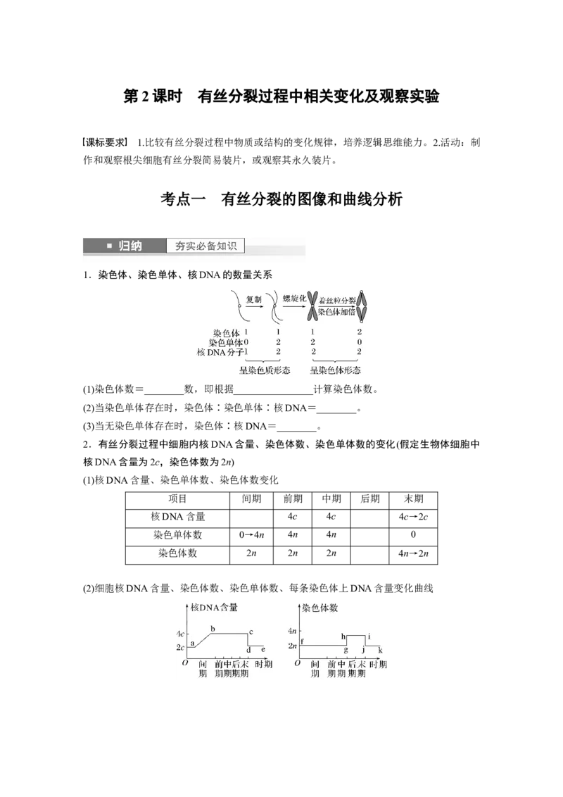 第4单元　第2课时　有丝分裂过程中相关变化及观察实验_新高考复习资料_2024年新高考复习资料_一轮复习资料_完2024生物步步高大一轮复习（课件+讲义）_学生版在此文件夹