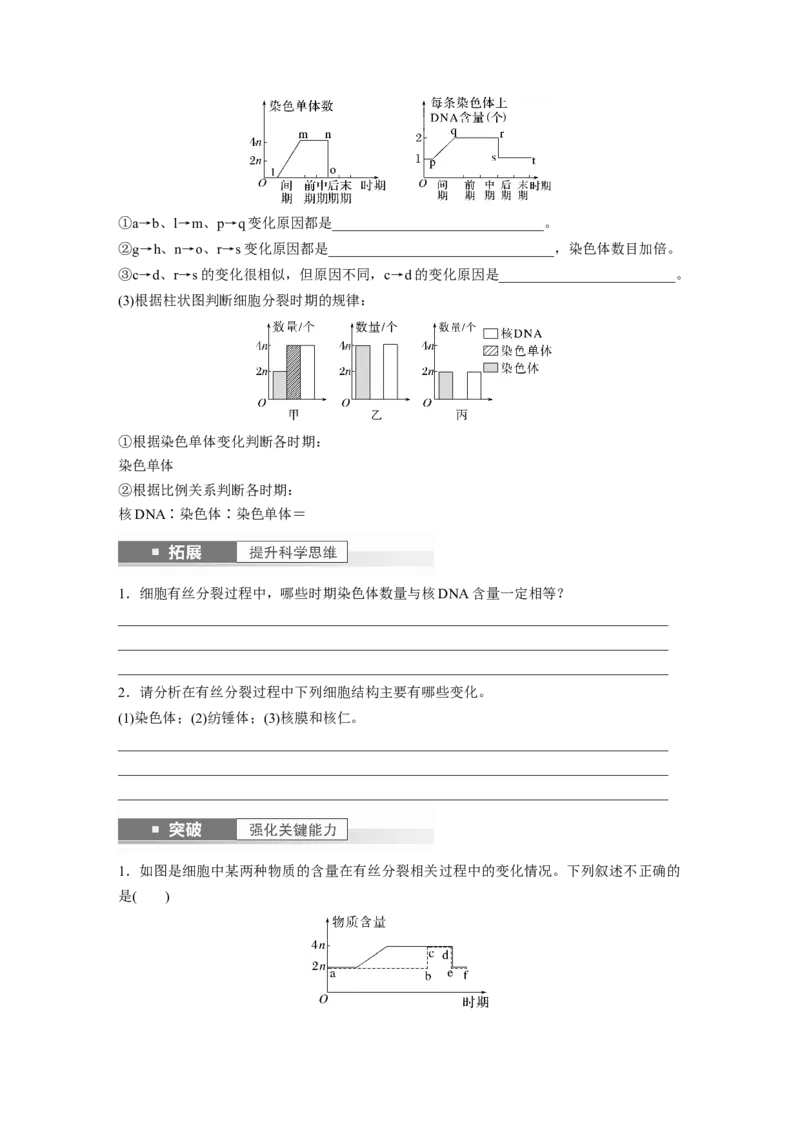 第4单元　第2课时　有丝分裂过程中相关变化及观察实验_新高考复习资料_2024年新高考复习资料_一轮复习资料_完2024生物步步高大一轮复习（课件+讲义）_学生版在此文件夹