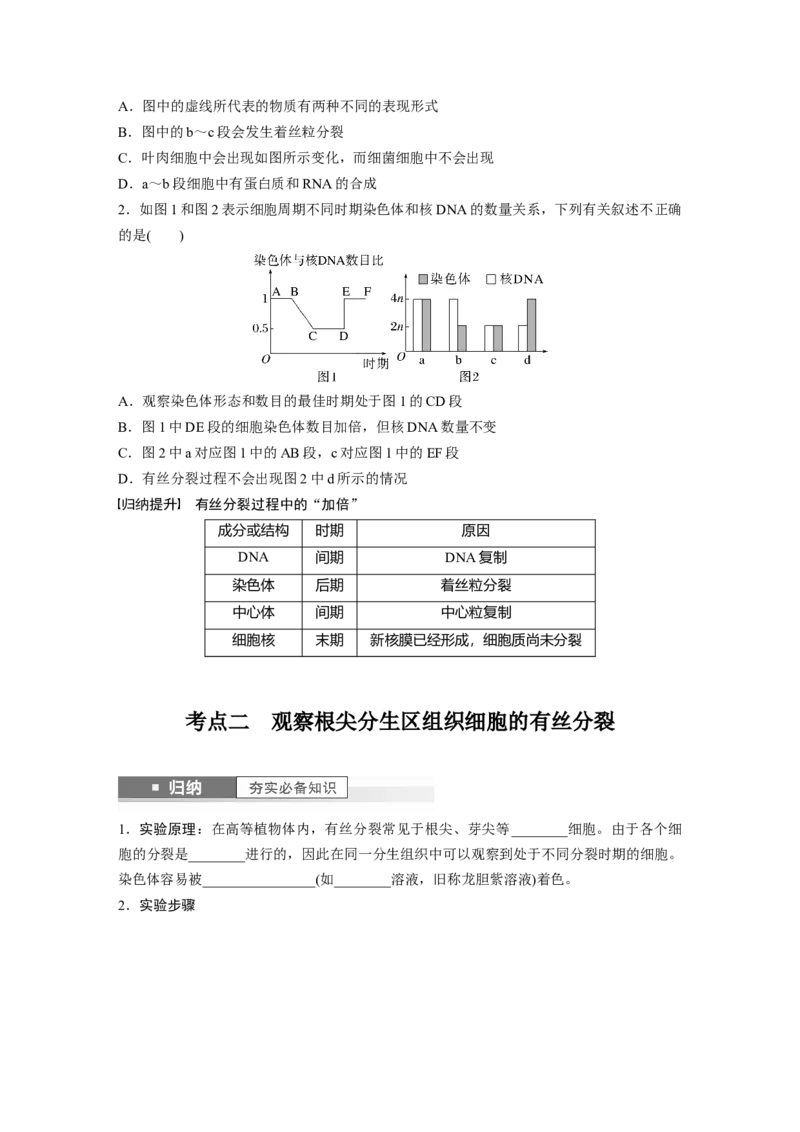 第4单元　第2课时　有丝分裂过程中相关变化及观察实验_新高考复习资料_2024年新高考复习资料_一轮复习资料_完2024生物步步高大一轮复习（课件+讲义）_学生版在此文件夹