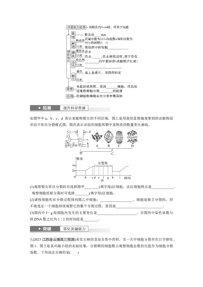 第4单元　第2课时　有丝分裂过程中相关变化及观察实验_新高考复习资料_2024年新高考复习资料_一轮复习资料_完2024生物步步高大一轮复习（课件+讲义）_学生版在此文件夹