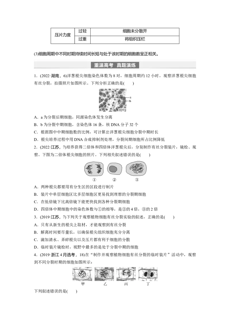 第4单元　第2课时　有丝分裂过程中相关变化及观察实验_新高考复习资料_2024年新高考复习资料_一轮复习资料_完2024生物步步高大一轮复习（课件+讲义）_学生版在此文件夹