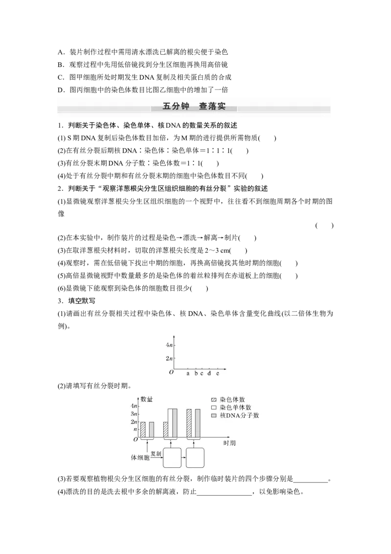 第4单元　第2课时　有丝分裂过程中相关变化及观察实验_新高考复习资料_2024年新高考复习资料_一轮复习资料_完2024生物步步高大一轮复习（课件+讲义）_学生版在此文件夹