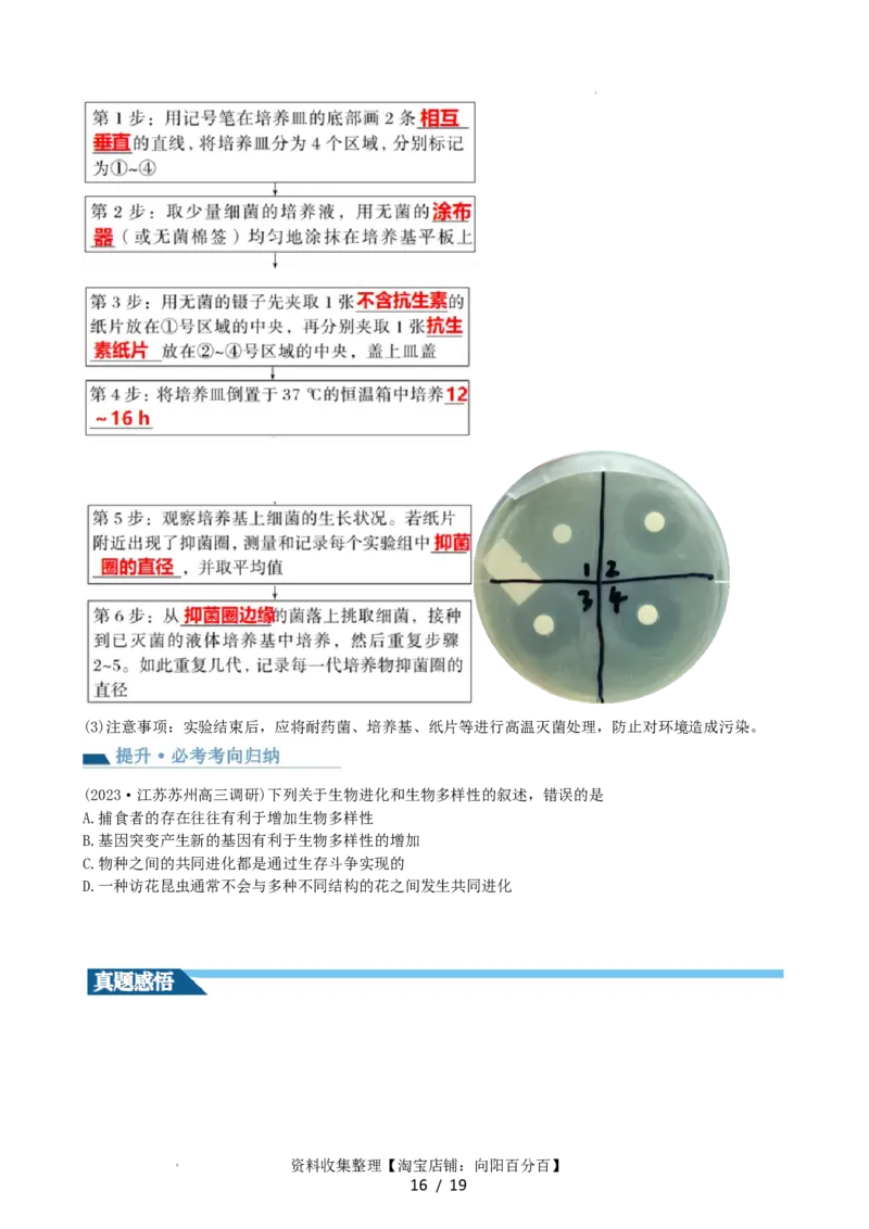 第24讲生物的进化（讲义）（学生版）_新高考复习资料_2024年新高考复习资料_一轮复习资料_完2024年高考生物一轮复习讲练测(课件+讲义+练习)（新高考）_讲义+练习