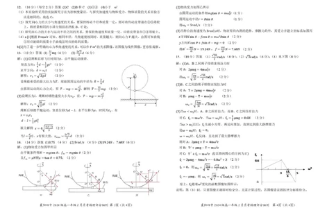 湖北省襄阳四中2024级高一上2月月考物理试题及答案（附答题卡）物理参考答案_2025年03月试卷_0314湖北省襄阳市第四中学2024-2025学年高一下学期2月月考