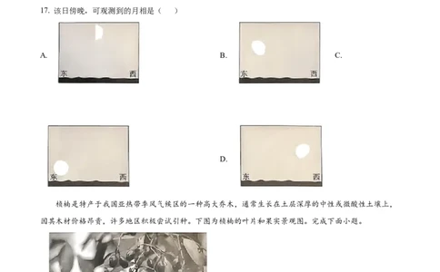 浙江省绍兴市2024-2025学年高一上学期期末调测地理试题Word版无答案_2025年03月试卷_0303浙江省绍兴市2024-2025学年高一上学期1月期末考试
