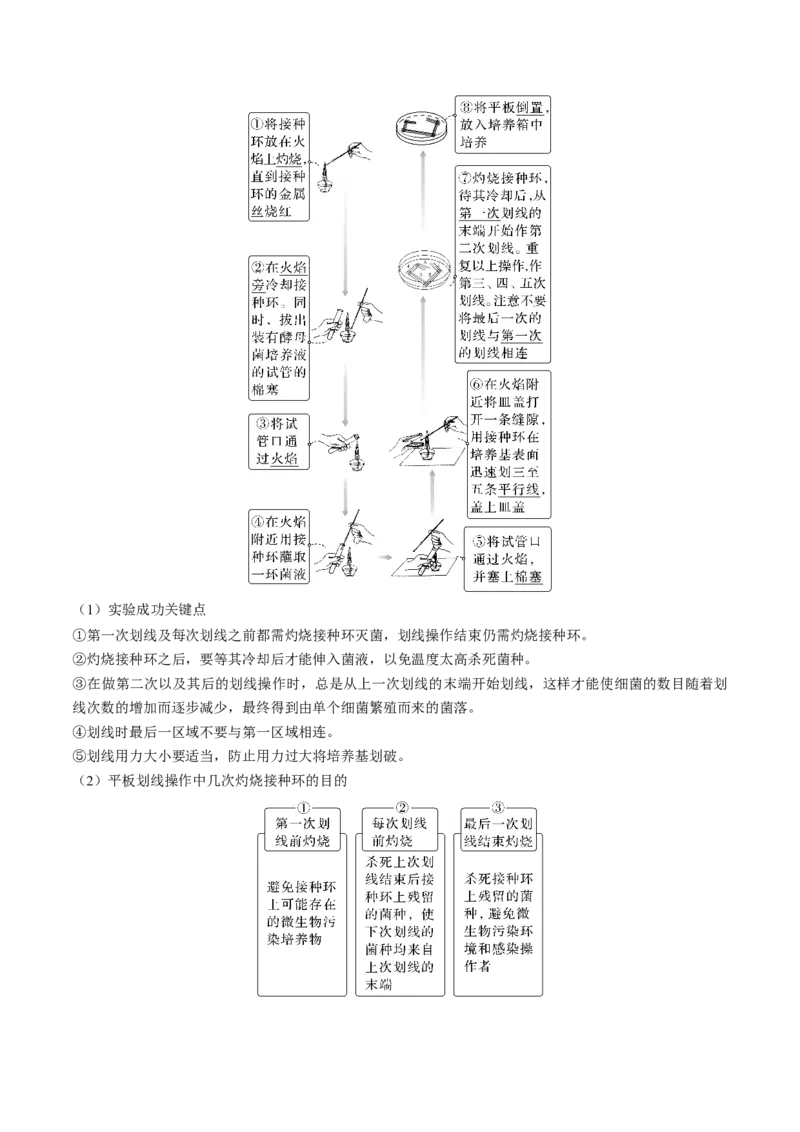 考向26发酵工程-备战2023年高考生物一轮复习考点微专题（全国通用）（原卷版）_通用版（老高考）复习资料_2023年复习资料_一轮复习_备战2023年高考生物一轮复习考点微专题（全国通用）