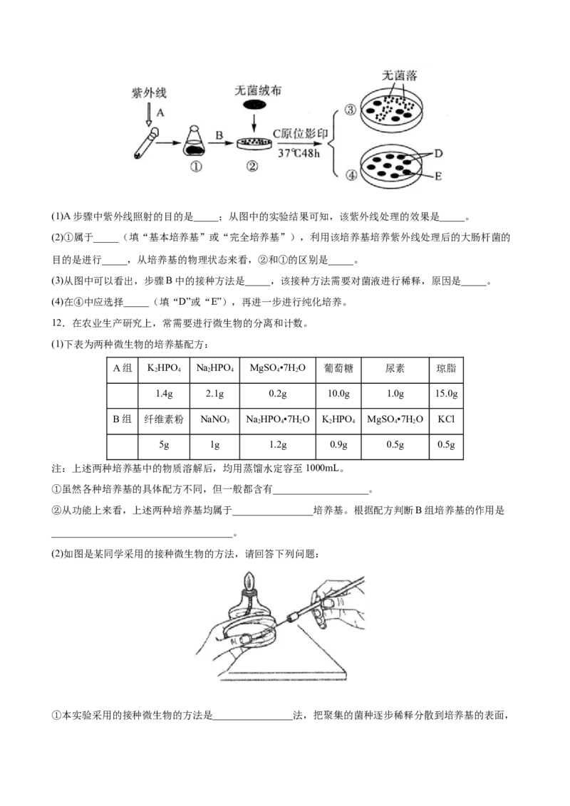 考向26发酵工程-备战2023年高考生物一轮复习考点微专题（全国通用）（原卷版）_通用版（老高考）复习资料_2023年复习资料_一轮复习_备战2023年高考生物一轮复习考点微专题（全国通用）