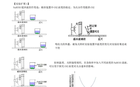 第10.2讲光合作用的影响因素和应用（讲义）（学生版）_新高考复习资料_2024年新高考复习资料_一轮复习资料_完2024年高考生物一轮复习讲练测(课件+讲义+练习)（新高考）_讲义+练习