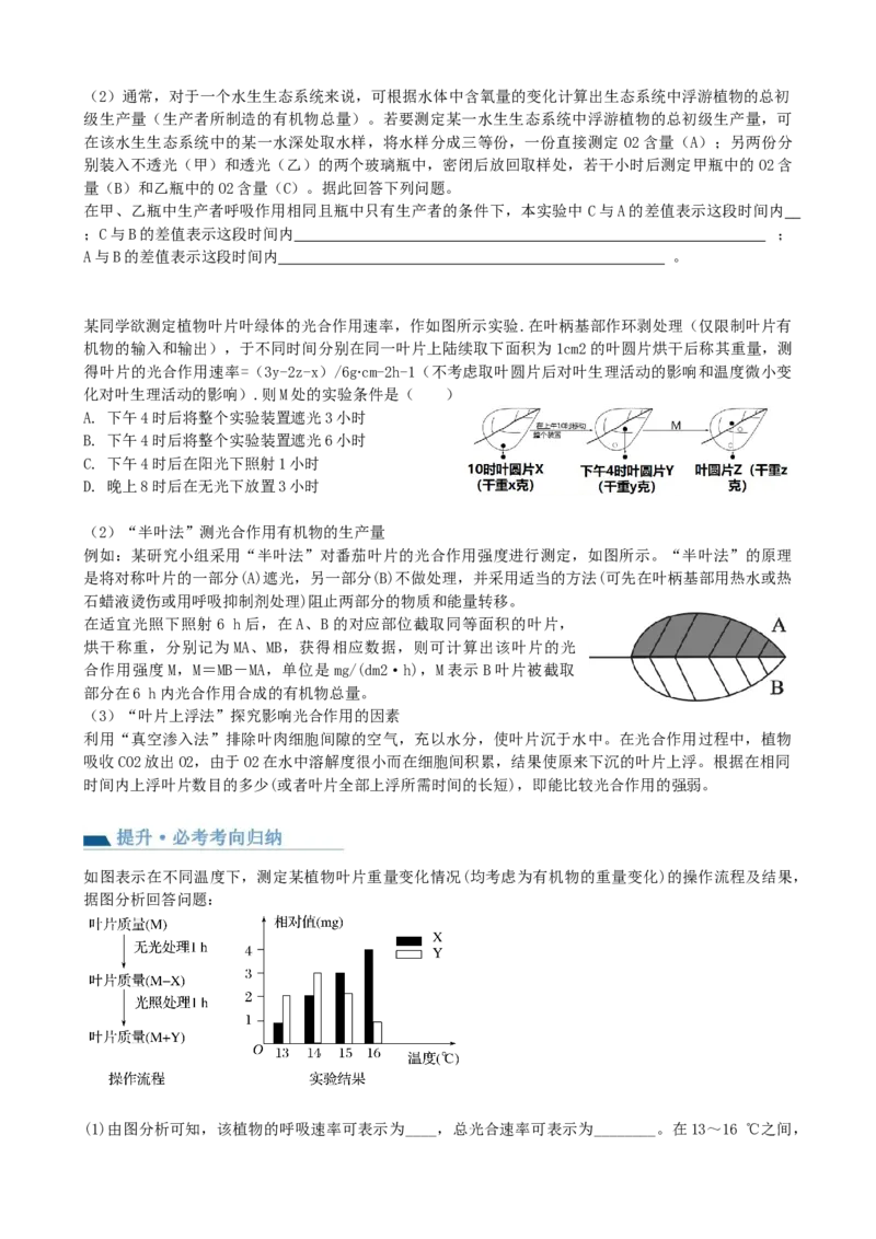 第10.2讲光合作用的影响因素和应用（讲义）（学生版）_新高考复习资料_2024年新高考复习资料_一轮复习资料_完2024年高考生物一轮复习讲练测(课件+讲义+练习)（新高考）_讲义+练习