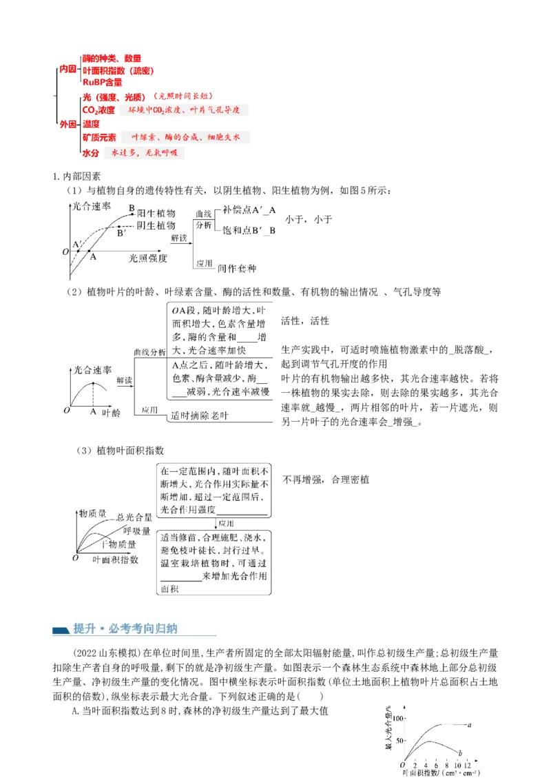第10.2讲光合作用的影响因素和应用（讲义）（学生版）_新高考复习资料_2024年新高考复习资料_一轮复习资料_完2024年高考生物一轮复习讲练测(课件+讲义+练习)（新高考）_讲义+练习