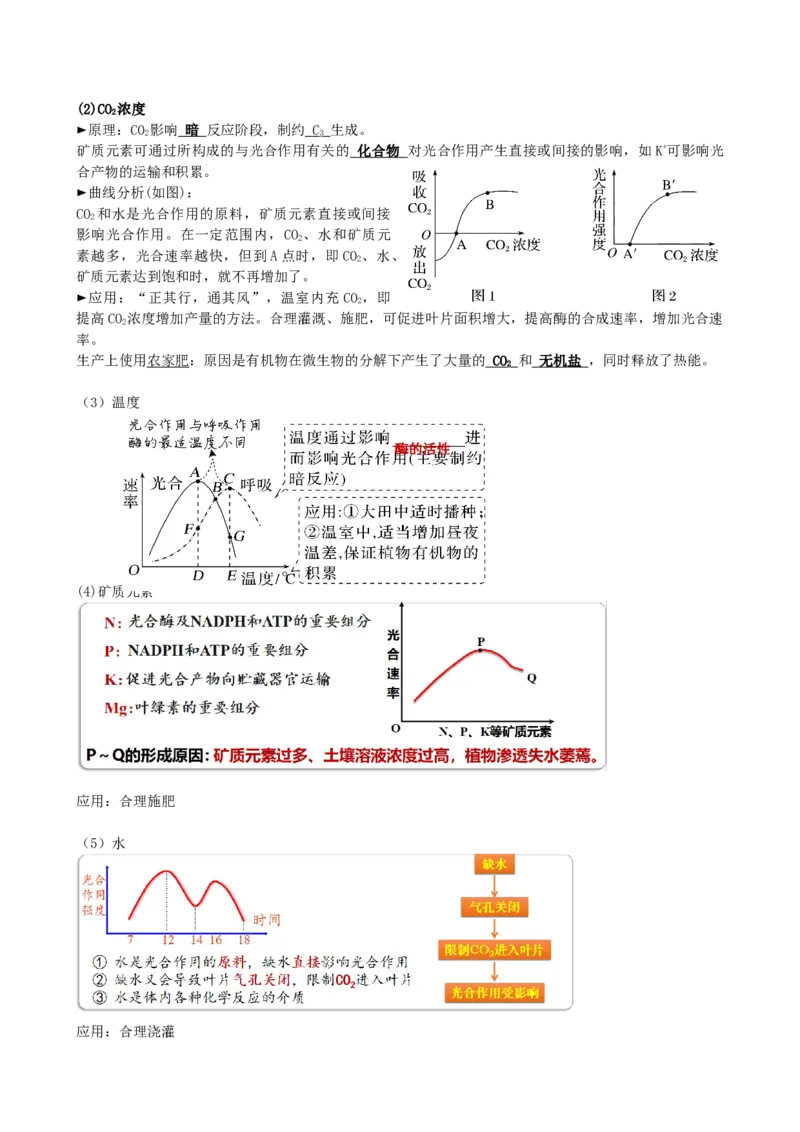 第10.2讲光合作用的影响因素和应用（讲义）（学生版）_新高考复习资料_2024年新高考复习资料_一轮复习资料_完2024年高考生物一轮复习讲练测(课件+讲义+练习)（新高考）_讲义+练习
