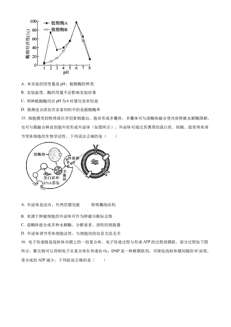广东省清远市2024-2025学年高一上学期期末考试生物试题Word版无答案_2025年03月试卷_0312广东省清远市2024-2025学年高一上学期期末考试