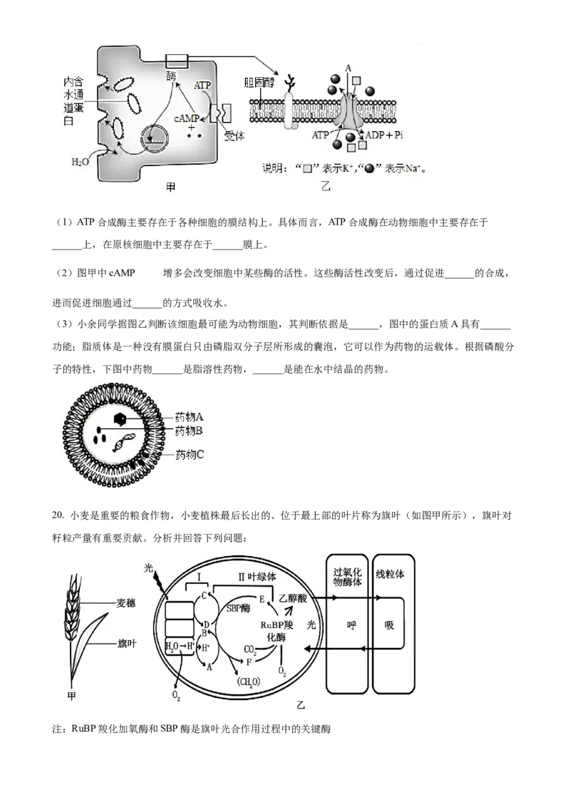 广东省清远市2024-2025学年高一上学期期末考试生物试题Word版无答案_2025年03月试卷_0312广东省清远市2024-2025学年高一上学期期末考试