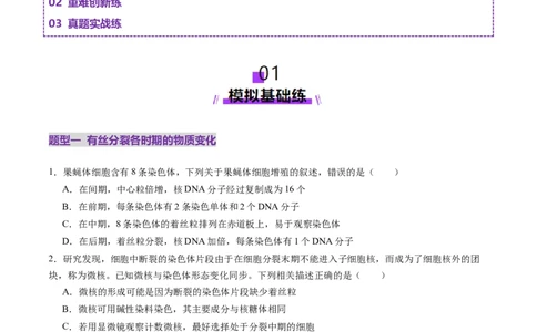 第12讲细胞增殖（练习）（原卷版）_2025年新高考资料_一轮复习_2025年高考生物一轮复习讲练测（新教材新高考）