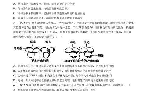 第10.1讲光合色素和光合作用原理（练习）（原卷版）_新高考复习资料_2024年新高考复习资料_一轮复习资料_完2024年高考生物一轮复习讲练测(课件+讲义+练习)（新高考）_讲义+练习