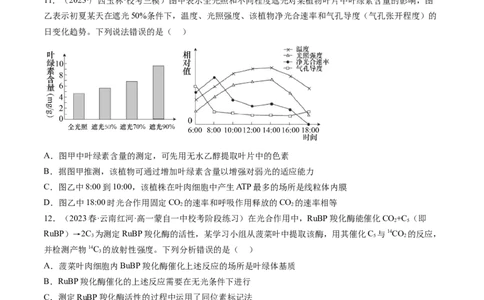 第10.1讲光合色素和光合作用原理（练习）（原卷版）_新高考复习资料_2024年新高考复习资料_一轮复习资料_完2024年高考生物一轮复习讲练测(课件+讲义+练习)（新高考）_讲义+练习