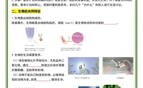 人教版七年级上册生物暑假预习20天计划_六升七暑假衔接