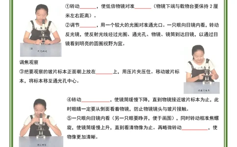人教版七年级上册生物暑假预习20天计划_六升七暑假衔接