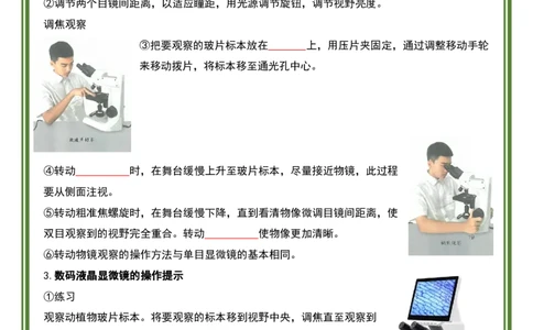 人教版七年级上册生物暑假预习20天计划_六升七暑假衔接