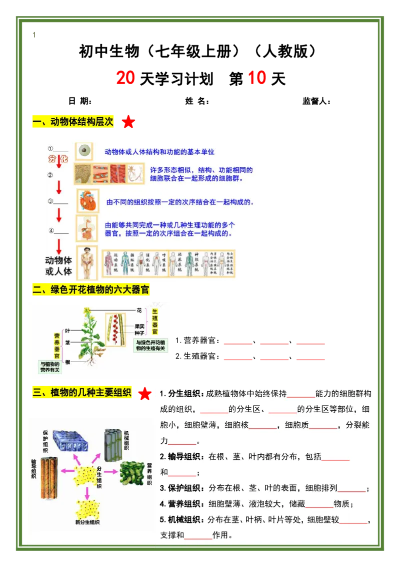 人教版七年级上册生物暑假预习20天计划_六升七暑假衔接
