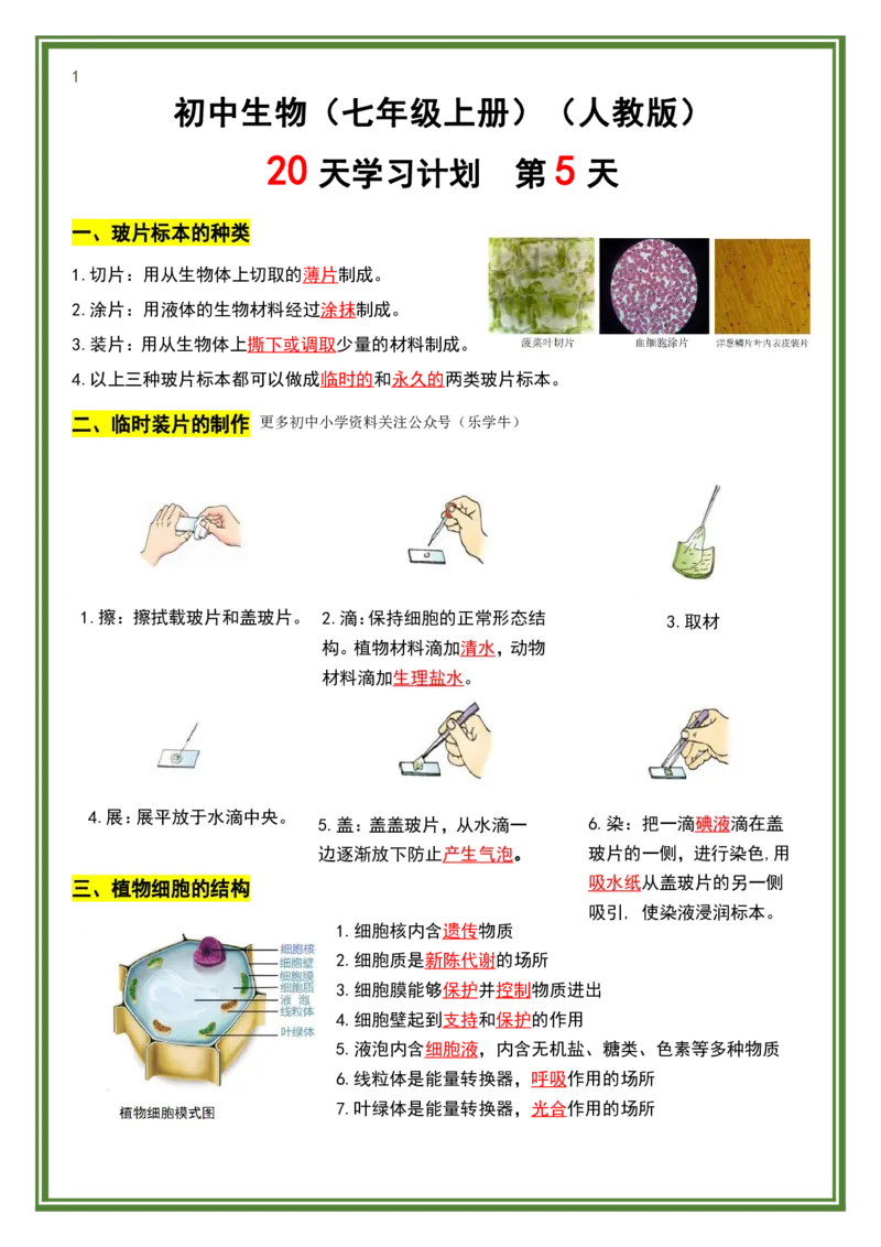 人教版七年级上册生物暑假预习20天计划_六升七暑假衔接