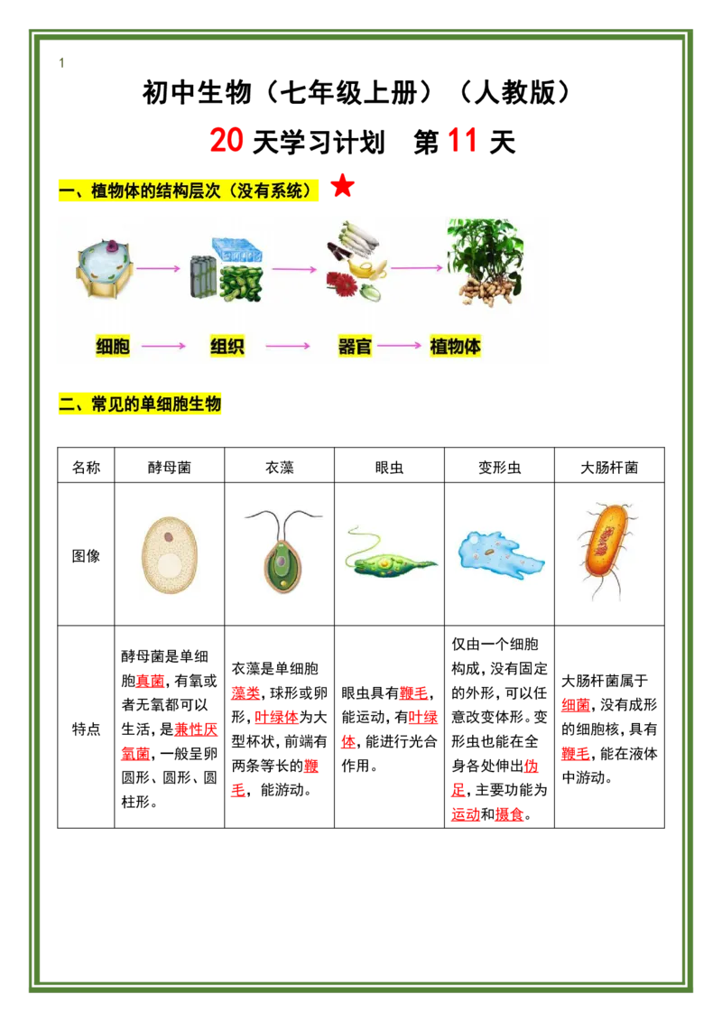 人教版七年级上册生物暑假预习20天计划_六升七暑假衔接