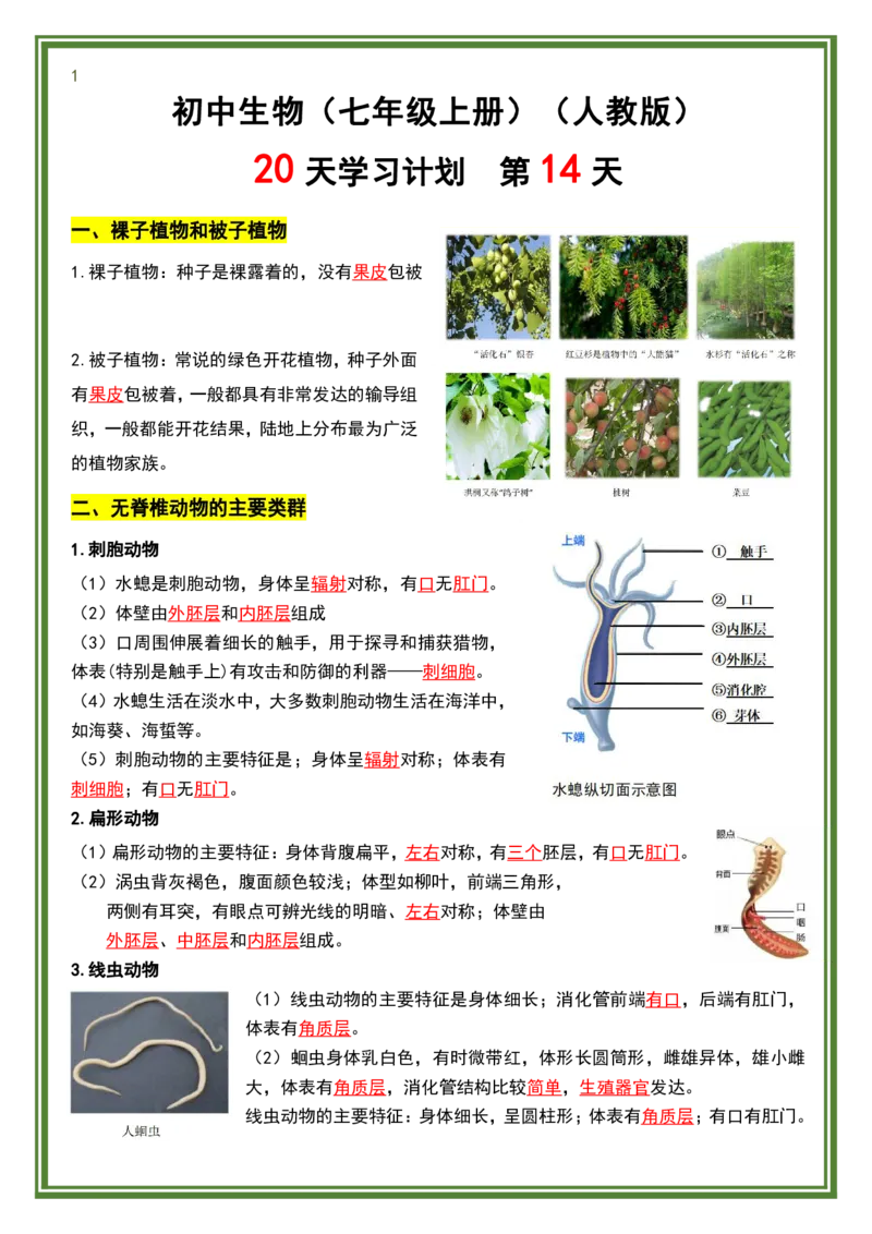 人教版七年级上册生物暑假预习20天计划_六升七暑假衔接