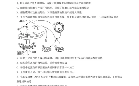 四川省内江市第六中学2024-2025学年高一下学期入学考试生物试题_2025年03月试卷_0309四川省内江第六中学2024-2025学年高一下学期入学考试