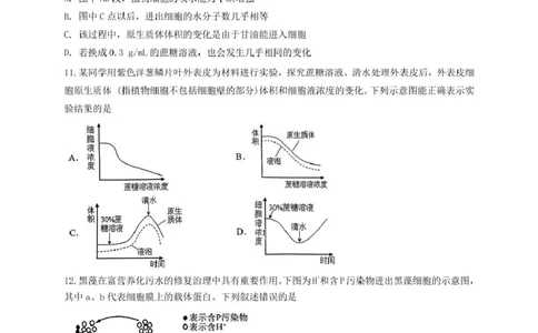 四川省内江市第六中学2024-2025学年高一下学期入学考试生物试题_2025年03月试卷_0309四川省内江第六中学2024-2025学年高一下学期入学考试