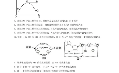 四川省内江市第六中学2024-2025学年高一下学期入学考试生物试题_2025年03月试卷_0309四川省内江第六中学2024-2025学年高一下学期入学考试