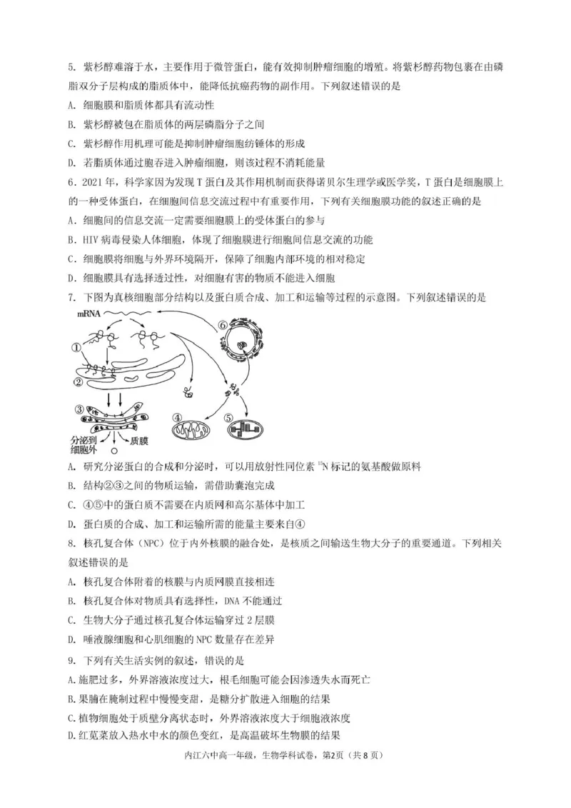 四川省内江市第六中学2024-2025学年高一下学期入学考试生物试题_2025年03月试卷_0309四川省内江第六中学2024-2025学年高一下学期入学考试