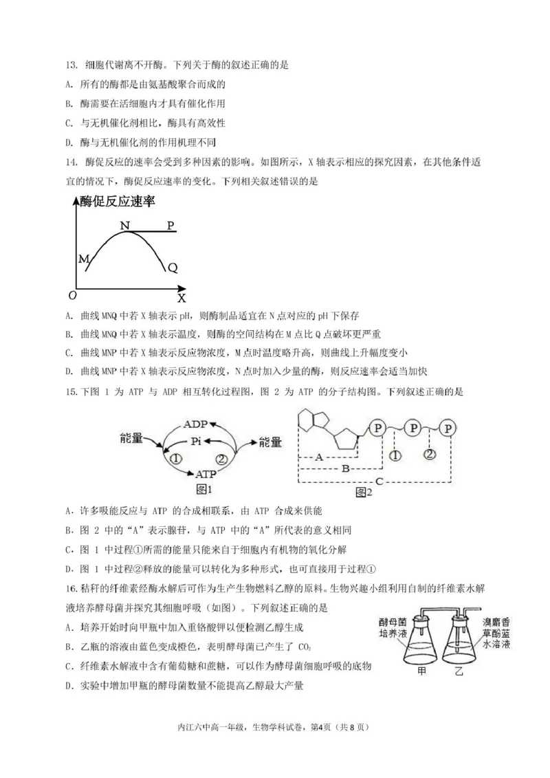 四川省内江市第六中学2024-2025学年高一下学期入学考试生物试题_2025年03月试卷_0309四川省内江第六中学2024-2025学年高一下学期入学考试