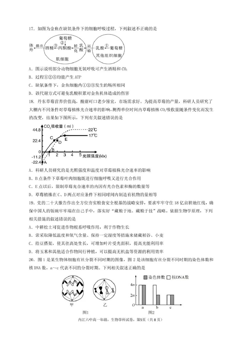 四川省内江市第六中学2024-2025学年高一下学期入学考试生物试题_2025年03月试卷_0309四川省内江第六中学2024-2025学年高一下学期入学考试