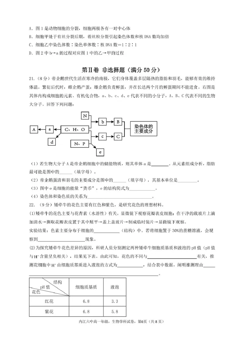 四川省内江市第六中学2024-2025学年高一下学期入学考试生物试题_2025年03月试卷_0309四川省内江第六中学2024-2025学年高一下学期入学考试