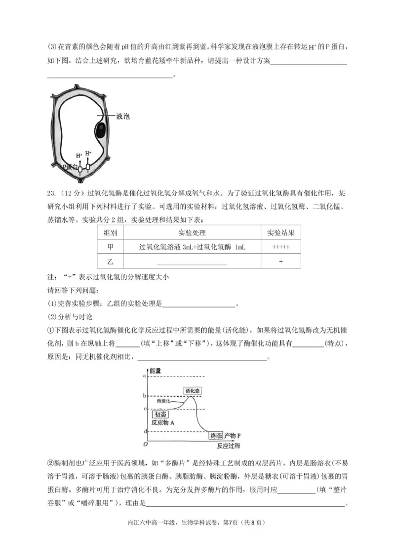 四川省内江市第六中学2024-2025学年高一下学期入学考试生物试题_2025年03月试卷_0309四川省内江第六中学2024-2025学年高一下学期入学考试