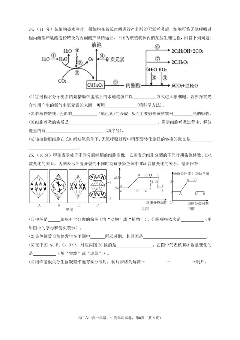 四川省内江市第六中学2024-2025学年高一下学期入学考试生物试题_2025年03月试卷_0309四川省内江第六中学2024-2025学年高一下学期入学考试