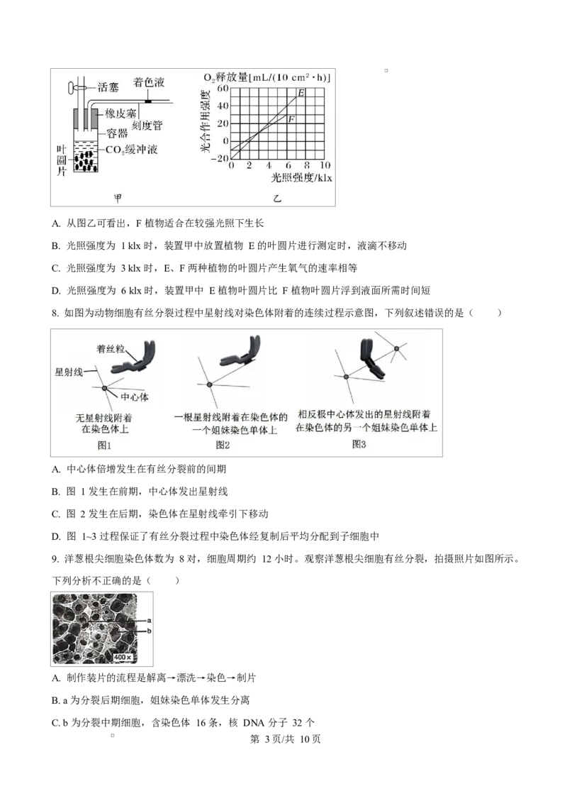 湖南省长沙市雅礼教育集团高一联考2024-2025学年高一下学期3月月考生物试题（原卷版）_2025年04月试卷_0417湖南省长沙市雅礼教育集团2024-2025学年高一下学期3月联考