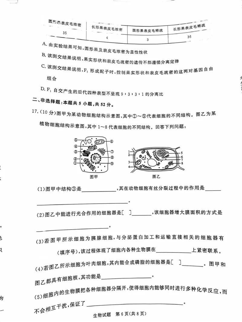 河南省部分名校2024-2025学年高一下学期3月联考生物试卷_2025年03月试卷_0319河南省部分名校2024-2025学年高一下学期3月联考