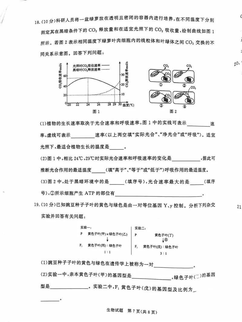 河南省部分名校2024-2025学年高一下学期3月联考生物试卷_2025年03月试卷_0319河南省部分名校2024-2025学年高一下学期3月联考