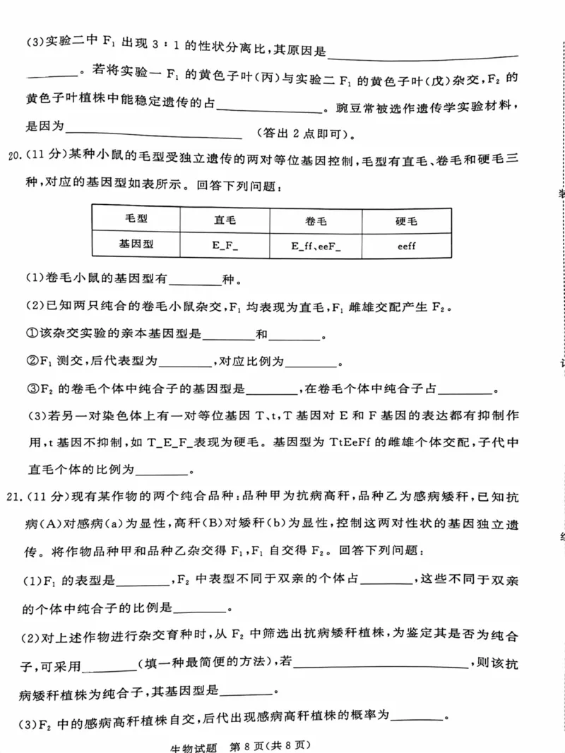 河南省部分名校2024-2025学年高一下学期3月联考生物试卷_2025年03月试卷_0319河南省部分名校2024-2025学年高一下学期3月联考