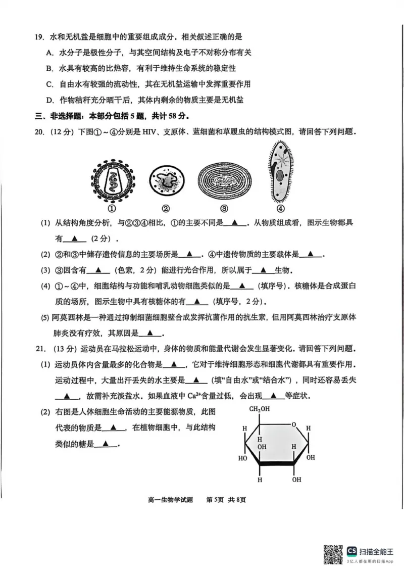 江苏南通2025-2026学年10月测试高一生物_2025年10月高一试卷_251016江苏省南通市2025-2026学年高一上学期10月调研测试（全）